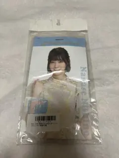 乃木坂46 西野七瀬 個別チケットホルダー シンクロニシティ