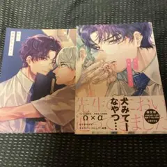 先生、我慢できません　限定版