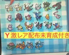 ポケットモンスターY 未育成6世代配布24体付き