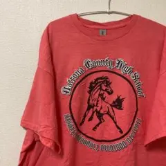 GILDAN ギルダン　ヴィンテージ　メンズ　Tシャツ　ピンク　2XL うま 馬