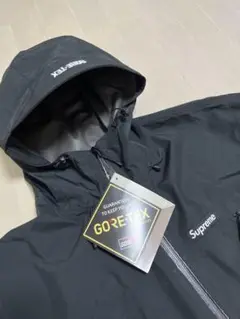 Supreme GORE-TEX PACLITE Suit 2022SS