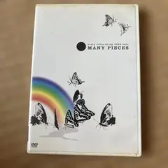 Every Little Thing/every little thing:2…