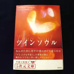 2025年最新】エンリケ・バリオス ツインソウルの人気アイテム