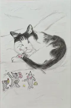 猫の絵　ネコズキ　手描きイラスト　色鉛筆画　鉛筆画　猫　絵　寝たふり