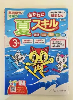 あかねこ　夏スキル　3年