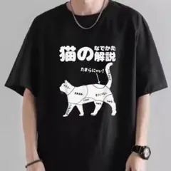 猫の説明T おもしろT ユニーク　猫好き　Lサイズ　猫じゃらし