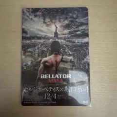 RIZIN ポテトスティック　No.07
