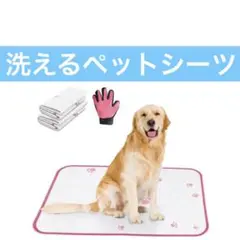 Item thumbnail for item ff4f5f16-0678-431f-8402-baba2554c832