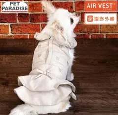 Item thumbnail for item 62313bde-acde-4bea-b50e-dd87f082594d