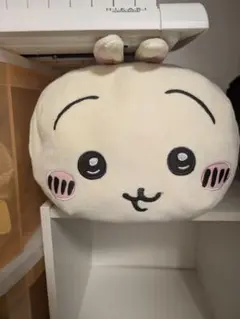 Item thumbnail for item 2d1c63b5-6d7b-4007-83e8-3ac8b999b774