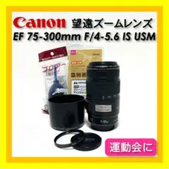 Item thumbnail for item a5feebba-0467-4602-a070-ddb07c6d32c5