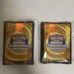m21707607150_1.jpg?1738479336