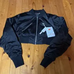 Item thumbnail for item 3cae1180-bfa2-4496-a6ba-b7b66a55e259