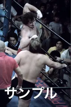 プロレス生写真　テリーファンクvs スタンハンセン② 10枚1組