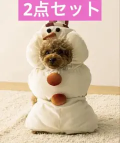 Item thumbnail for item 1ccb8926-6c1b-4e36-80bd-ae40e33a4714