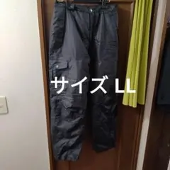 Item thumbnail for item 6aff3646-7edd-4f72-8010-6f4d7de4da32