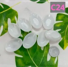 【C24】樹脂粘土・ミニチュア食器・パスタ・カレー皿8枚