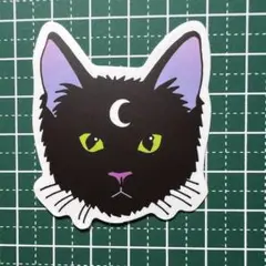 Item thumbnail for item 6ea734cf-8fb4-4895-9587-47725b083b4f