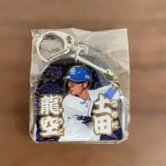 Item thumbnail for item bc888f7a-79a9-48cb-a208-83bec4decdef