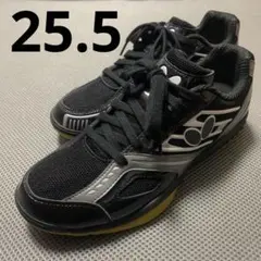 レゾラインマッハ 限定モデル 25.5cm