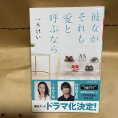 【即購入OK】 彼女がそれも愛と呼ぶなら
