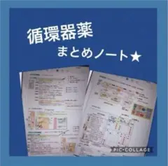 循環器薬 まとめノート★ 32ページ