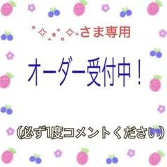 ˚✧₊⁎⁺˳✧༚さま専用