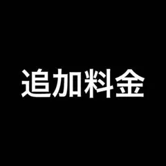 追加料金