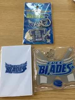 【一点物】田中豪選手のサイン入り 東北フリーブレイズ ブレイジー ぬいぐるみ 2025年最新】東北フリーブレイズの人気アイテム - メルカリ