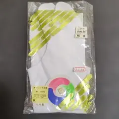 Item thumbnail for item cb760cb4-12b8-4a08-a692-32a79809841b