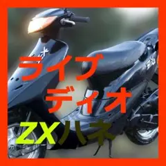 はねを I/O MAG 2025年最新】ハネ zxの人気アイテム - メルカリ