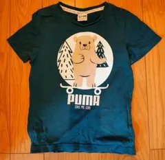 PUMA 白クマ Tシャツ 116cm ターコイズ