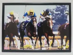 競馬.ダイナカール.エアグルーヴ.パネル.喝采は受け継がれる
