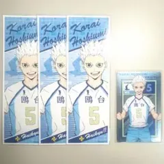 星海光来 まとめ売り