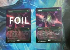 MTG 惑星共生/Terrasymbiosis EOE ボーダーレス日本語版2枚