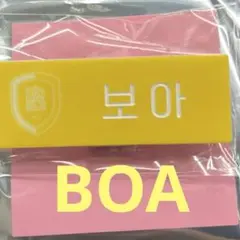 Smtown ランダムネームバッジ　BOA