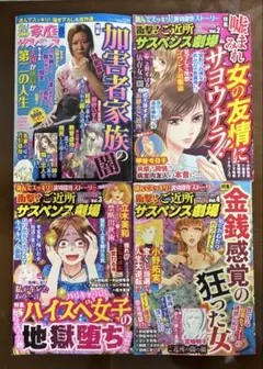 レディースコミック4冊セット