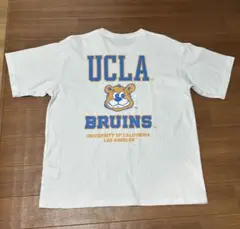 UCLA 半袖Tシャツ Lサイズ 大幅値下げ