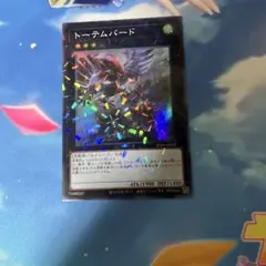遊戯王　トーテムバード　スーパーパラレルレア　トーナメントパック　TP