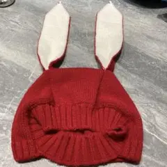 うさぎ　帽子　うさ耳　年賀状写真　ニット帽子