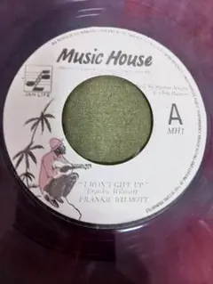 FRANKIE WILMOTT / I WON'T GIVE UP