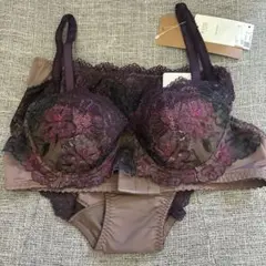 ウイング ワコール レシアージュ ブラジャー ショーツ B75