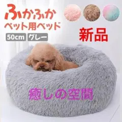Item thumbnail for item 930f6183-6322-46c9-8244-0fd545330e68