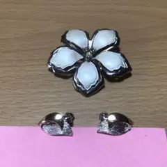 お花のブローチとイヤリング