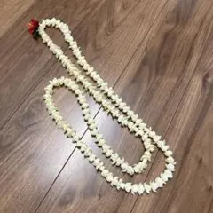 ピカケロングレイ