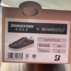 BRIDGESTONE×BEAMS シューズ