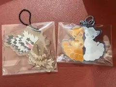 ポケモン アクリルチャームコレクション にたものどうし