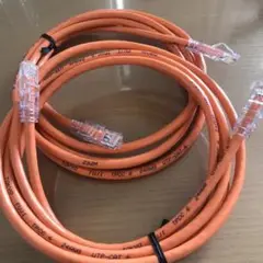 FUJI UTP-CAT 6 LANケーブル 2メートル　オレンジ2個セット