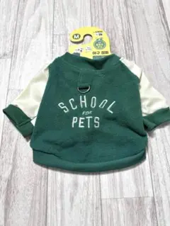 Item thumbnail for item 36e954da-efbb-48c5-b6e7-dd5b1868c260