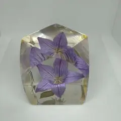 クリスタルハーバリウム 植物標本　レジン【美品】